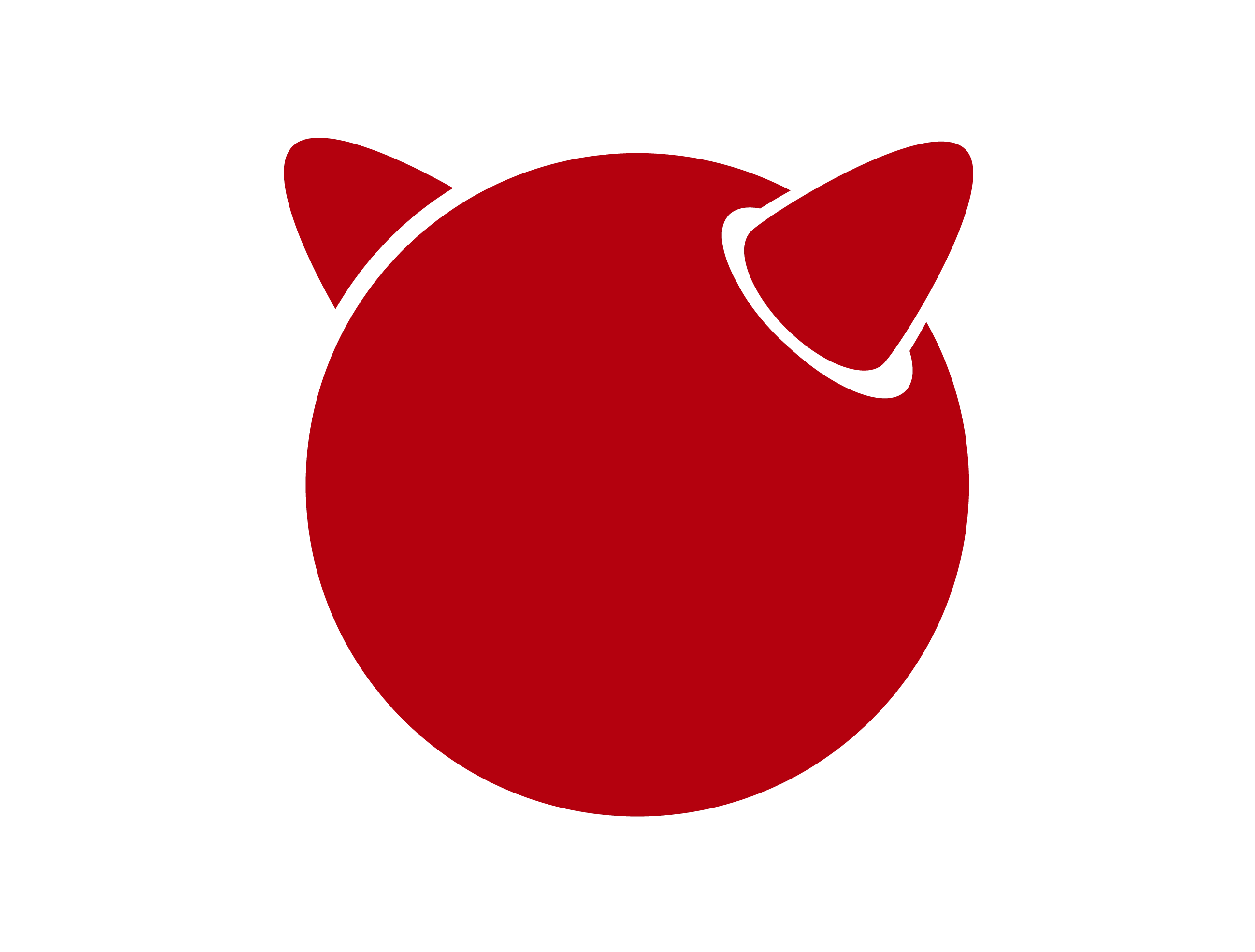 FreeBSD VPS Server